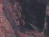 71.jpg